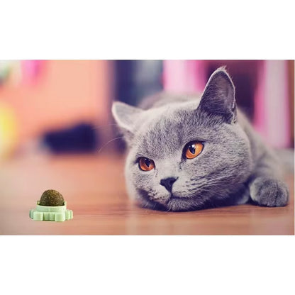 1/2/3/4 Pcs Avocado Catnip Wall Ball Cat Edible Catnip Toys Licking Balls Healthy Snack Rotatable Treats Toys Kitten Playing Toy