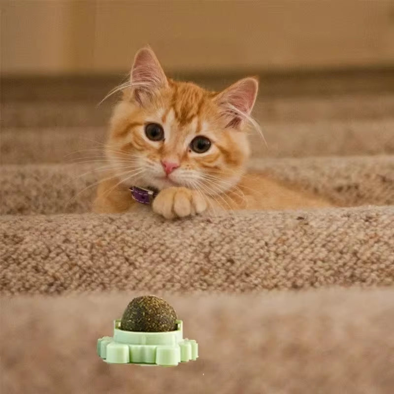 1/2/3/4 Pcs Avocado Catnip Wall Ball Cat Edible Catnip Toys Licking Balls Healthy Snack Rotatable Treats Toys Kitten Playing Toy